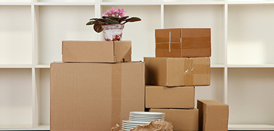 bless_movinginout